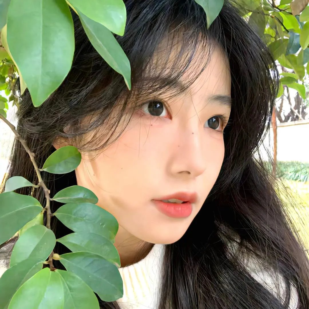 单身汉的天堂